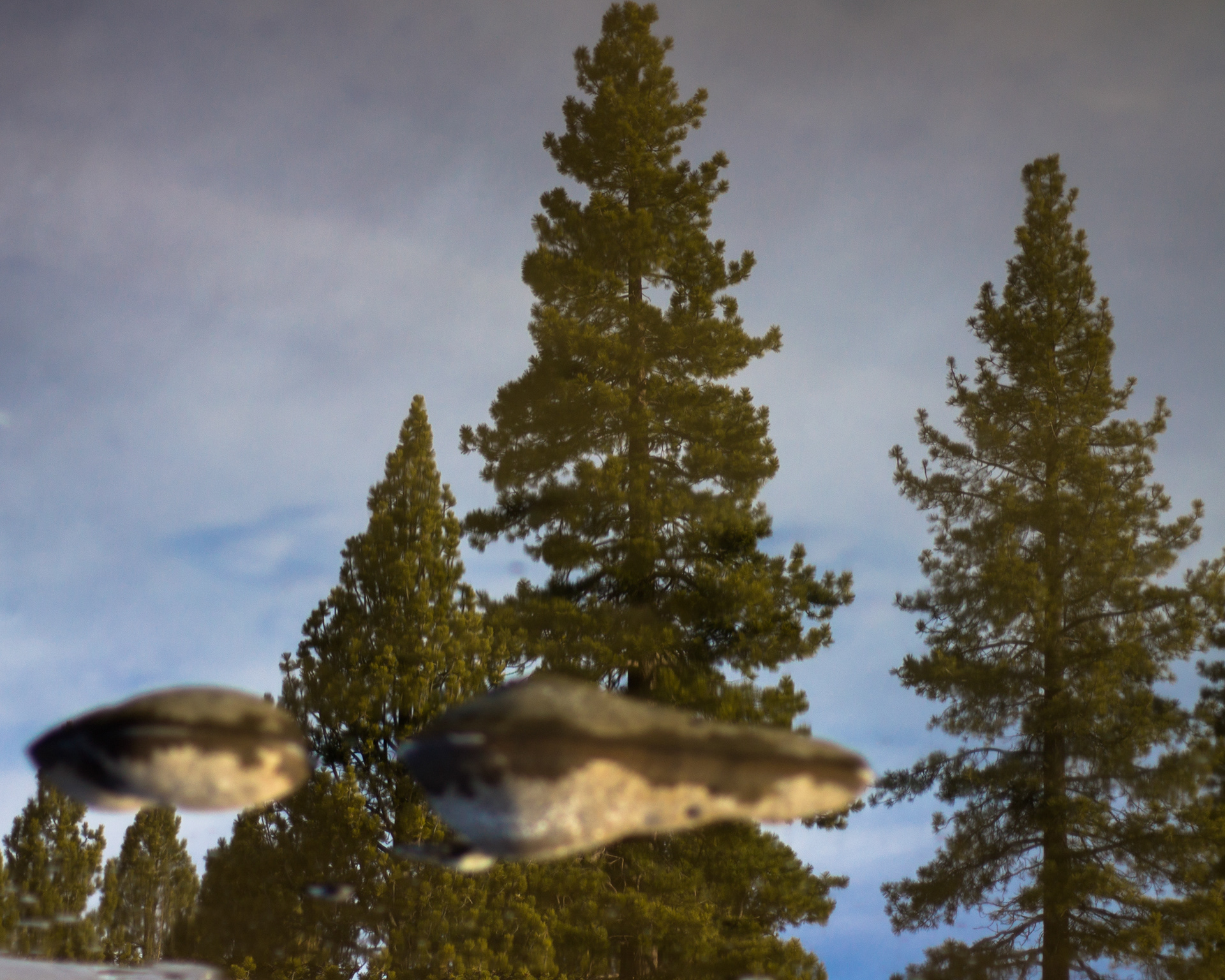 Flying Stones