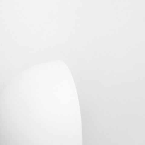 White Canvas