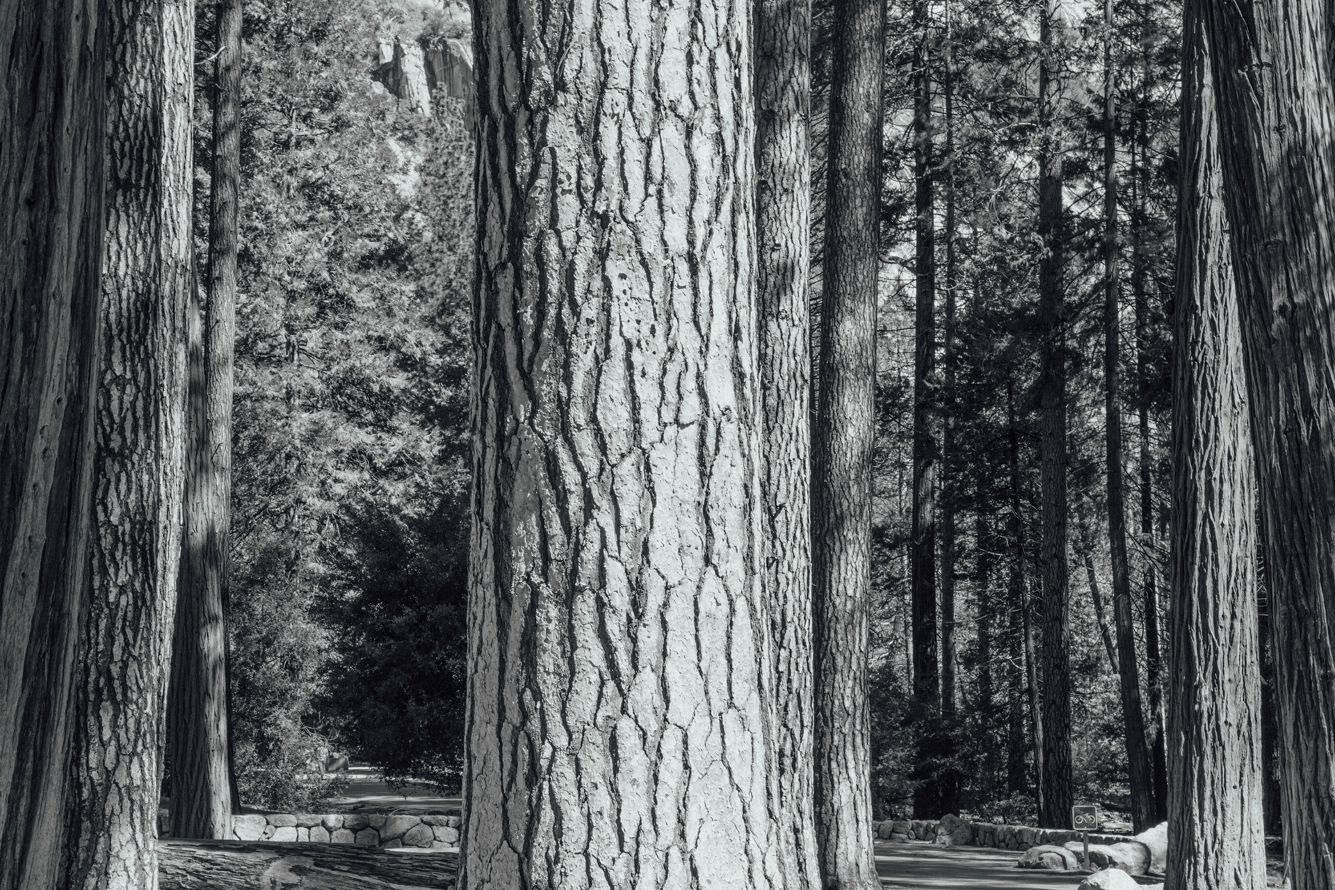 Yosemite